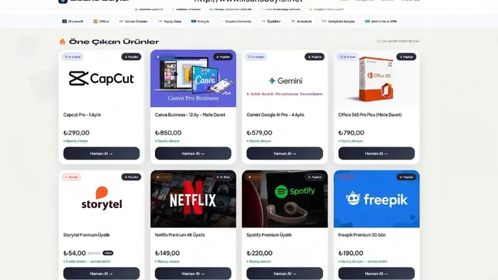 Lisansbayisi.net ana sayfa görünümü